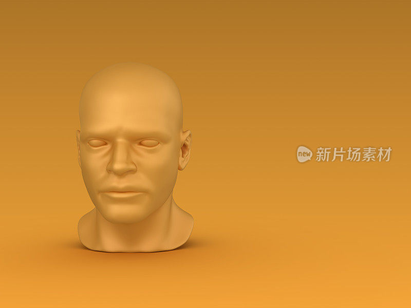 人的头部- 3D渲染